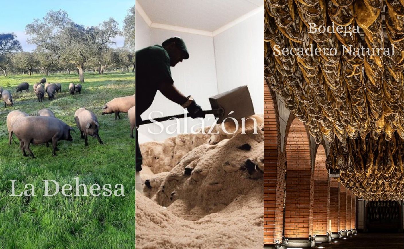 Cómo se elabora el jamón ibérico de bellota paso a paso